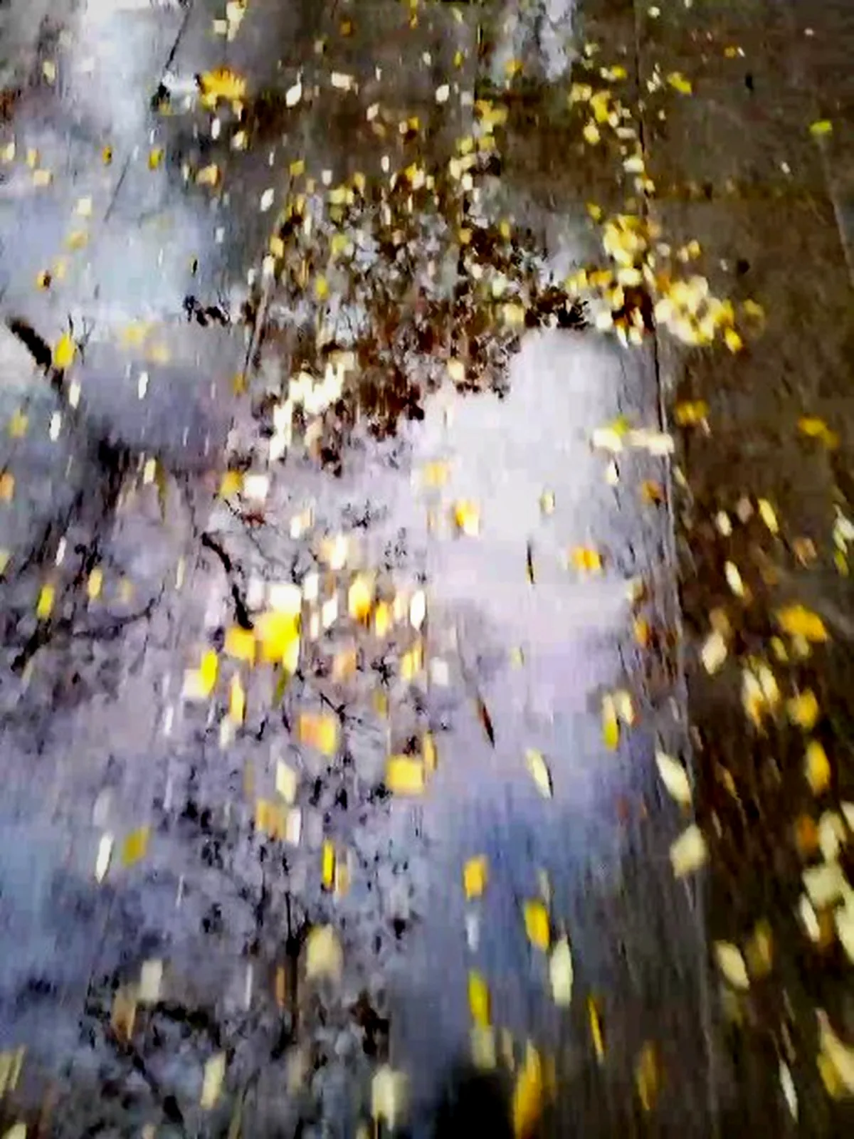 Manuel Obregón - Obra